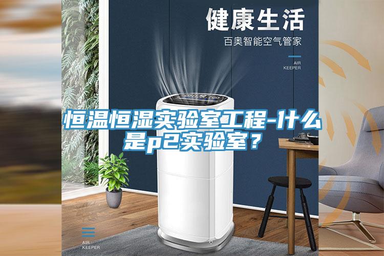 恒溫恒濕實驗室工程-什麽是p2實驗室？