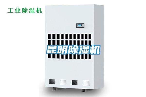 昆明91看片网站