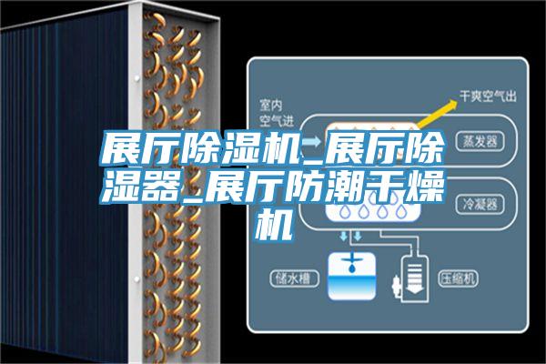 展廳91看片网站_展廳除濕器_展廳防潮幹燥機