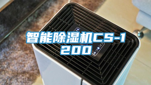 智能91看片网站CS-1200