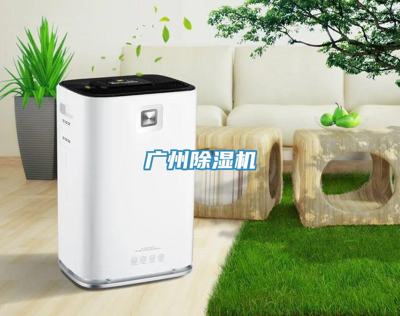 廣州91看片网站