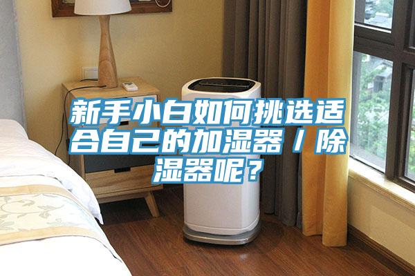 新手小白如何挑選適合自己的加濕器／除濕器呢？