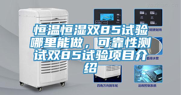 恒溫恒濕雙85試驗哪裏能做，可靠性測試雙85試驗項目介紹