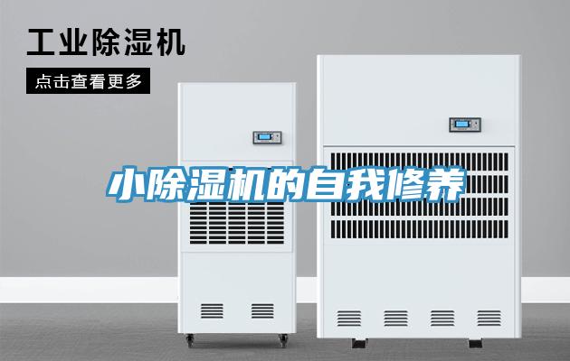 小91看片网站的自我修養