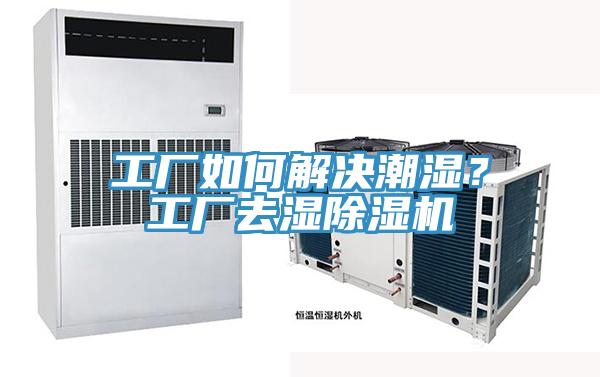 工廠如何解決潮濕？工廠去濕91看片网站