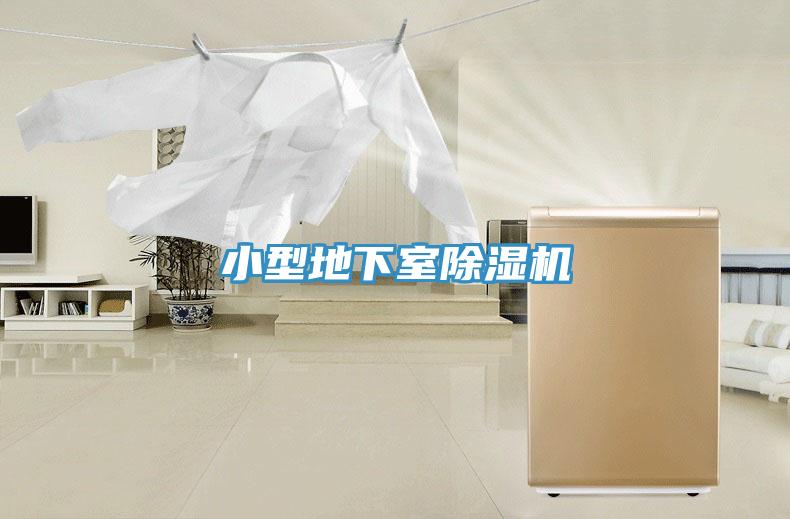 小型地下室91看片网站