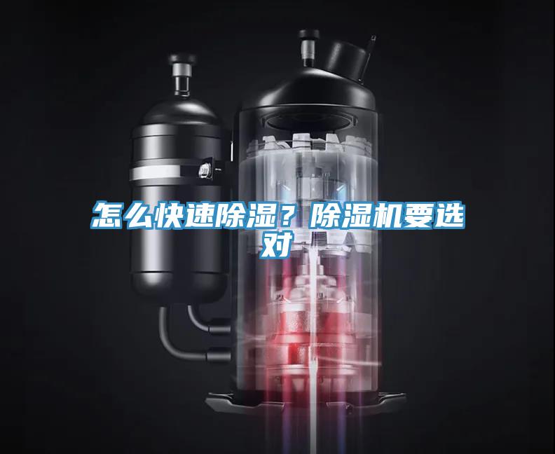 怎麽快速除濕？91看片网站要選對