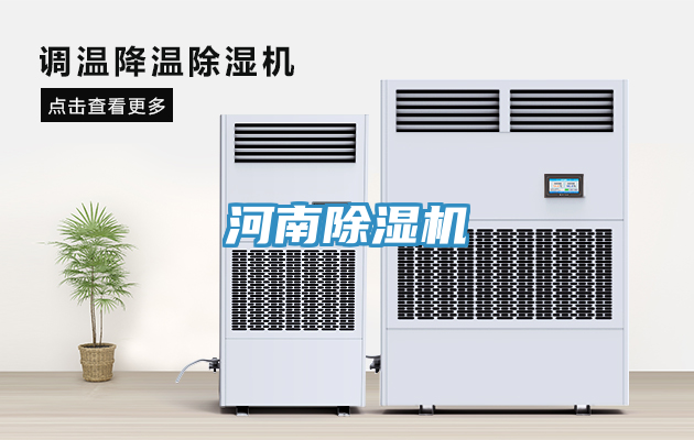 河南91看片网站