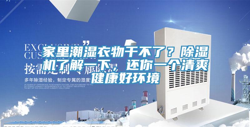 家裏潮濕衣物幹不了？91看片网站了解一下，還你一個清爽健康好環境