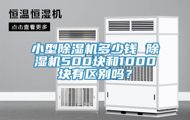 小型91看片网站多少錢 91看片网站500塊和1000塊有區別嗎？