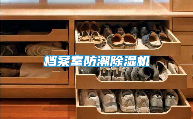 檔案室防潮91看片网站