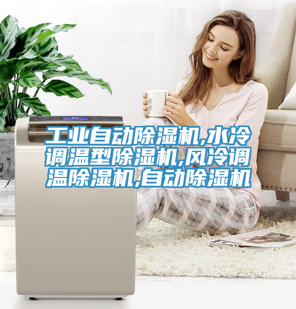 工業自動91看片网站,水冷調溫型91看片网站,風冷調溫91看片网站,自動91看片网站