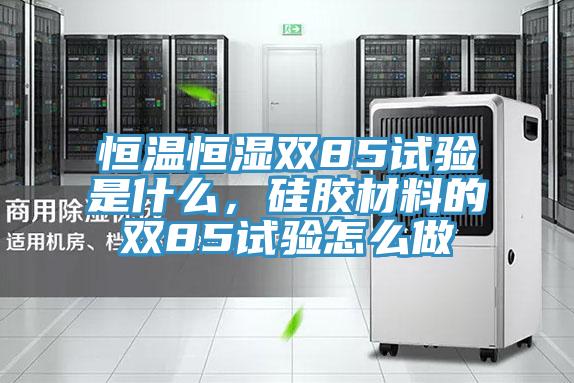 恒溫恒濕雙85試驗是什麽，矽膠材料的雙85試驗怎麽做