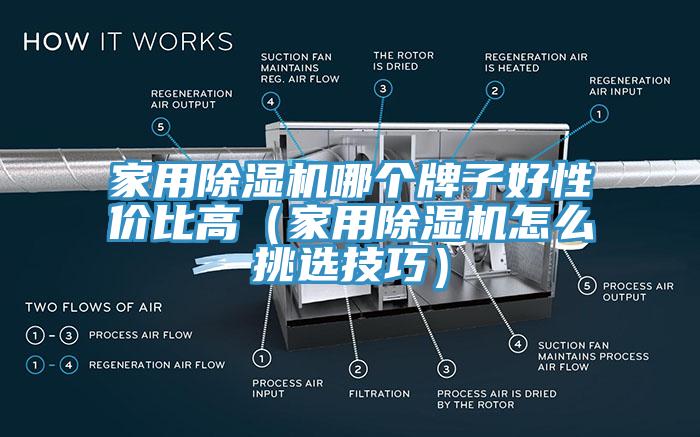 家用91看片网站哪個牌子好性價比高（家用91看片网站怎麽挑選技巧）