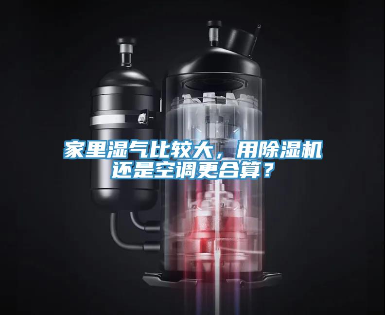 家裏濕氣比較大，用91看片网站還是空調更合算？