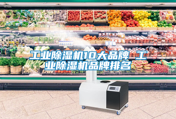 工業91看片网站10大品牌 工業91看片网站品牌排名