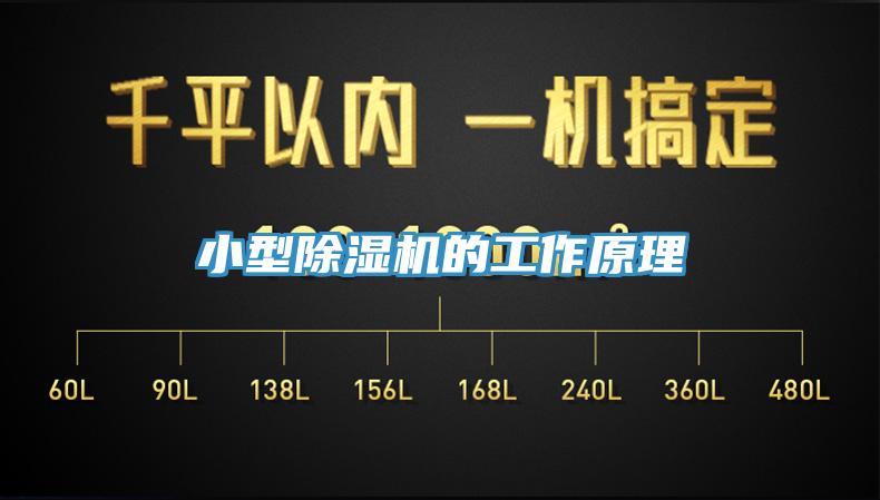 小型91看片网站的工作原理