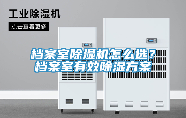 檔案室91看片网站怎麽選？檔案室有效除濕方案