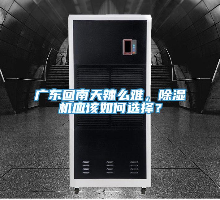 廣東回南天辣麽難，91看片网站應該如何選擇？