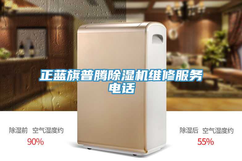 正藍旗普騰91看片网站維修服務電話