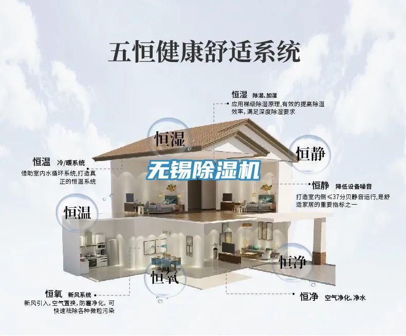 無錫91看片网站