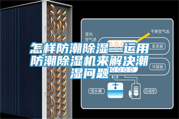 怎樣防潮除濕—運用防潮91看片网站來解決潮濕問題