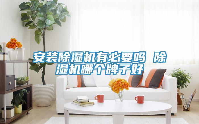 安裝91看片网站有必要嗎 91看片网站哪個牌子好