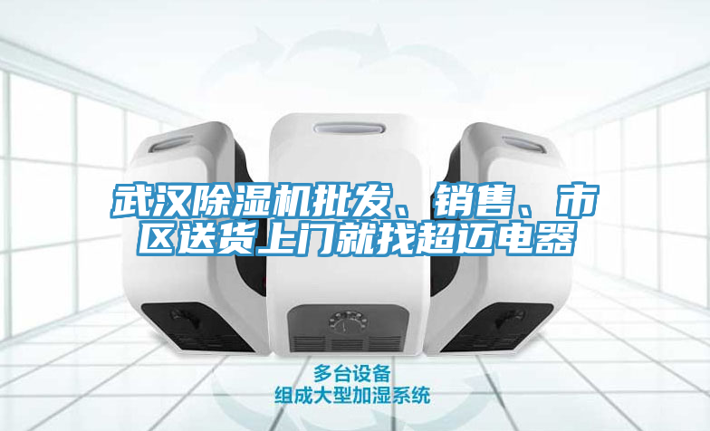 武漢91看片网站批發、銷售、市區送貨上門就找超邁電器