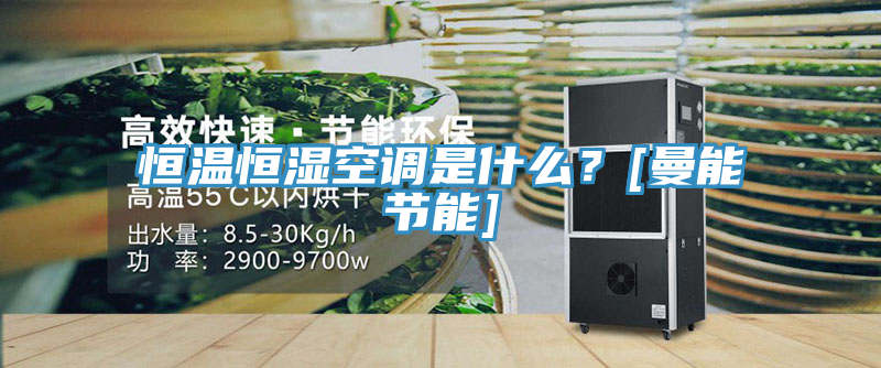 恒溫恒濕空調是什麽？[曼能節能]