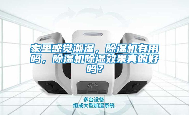 家裏感覺潮濕，91看片网站有用嗎，91看片网站除濕效果真的好嗎？