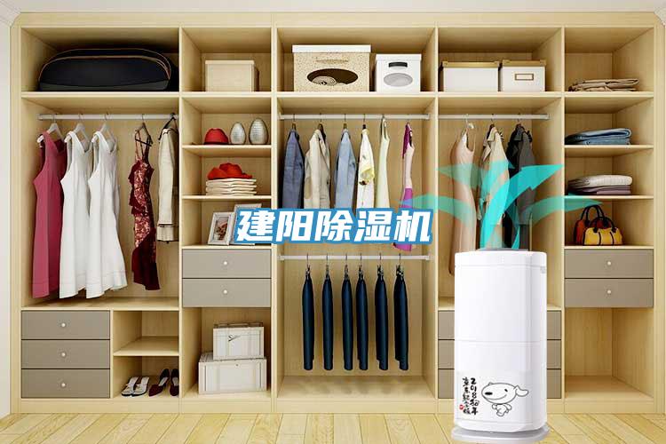 建陽91看片网站