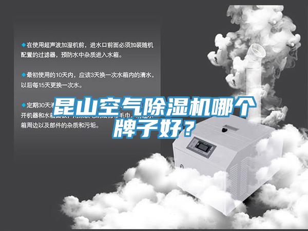 昆山空氣91看片网站哪個牌子好？