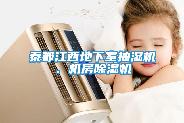 泰都江西地下室抽濕機、機房91看片网站
