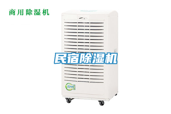 民宿91看片网站