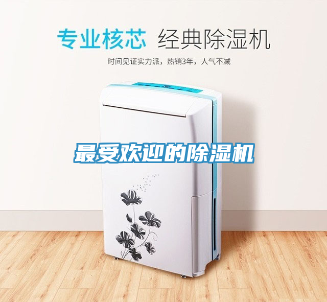 最受歡迎的91看片网站