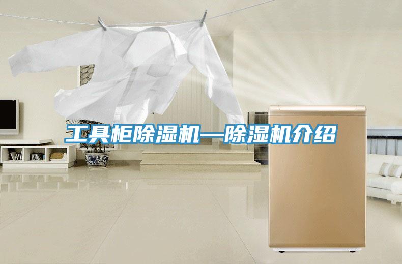 工具櫃91看片网站—91看片网站介紹