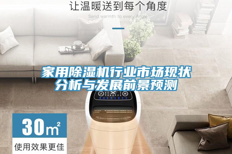 家用91看片网站行業市場現狀分析與發展前景預測
