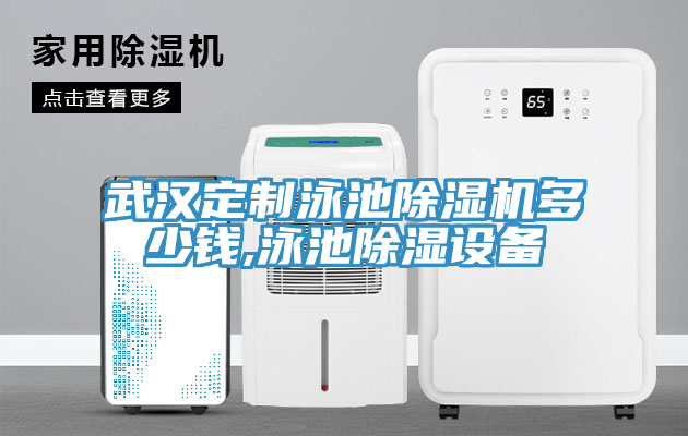 武漢定製泳池91看片网站多少錢,泳池除濕設備