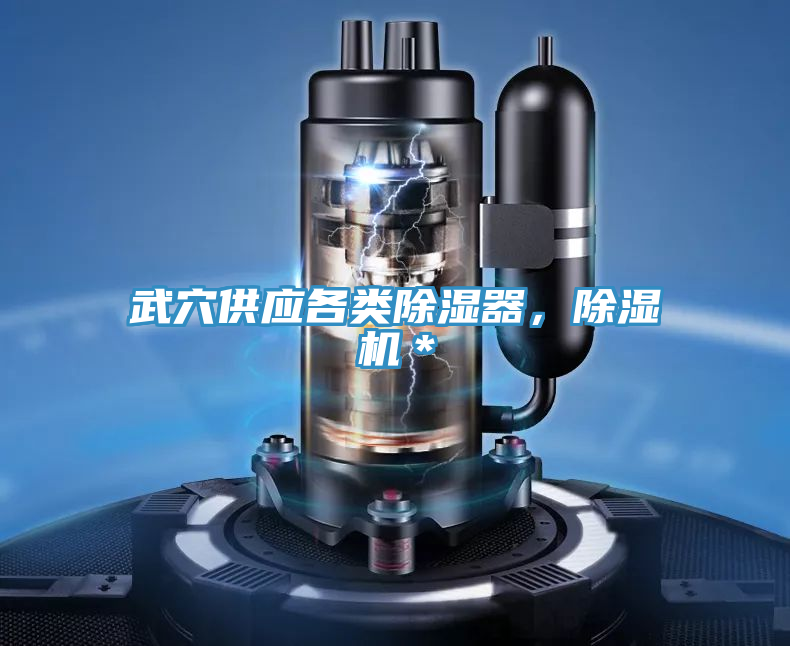 武穴供應各類除濕器，91看片网站＊