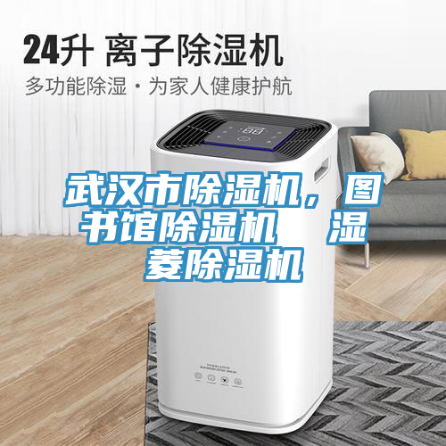 武漢市91看片网站，圖書館91看片网站  濕菱91看片网站
