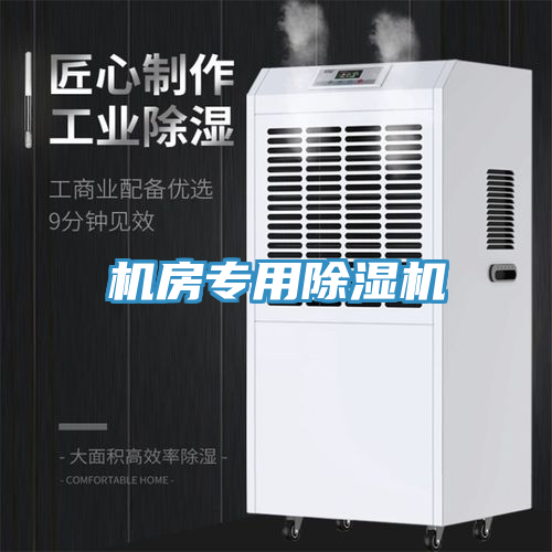 機房專用91看片网站