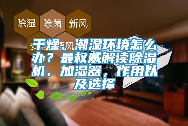 幹燥、潮濕環境怎麽辦？最權威解讀91看片网站、加濕器，作用以及選擇