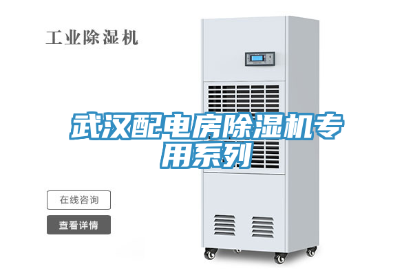 武漢配電房91看片网站專用係列