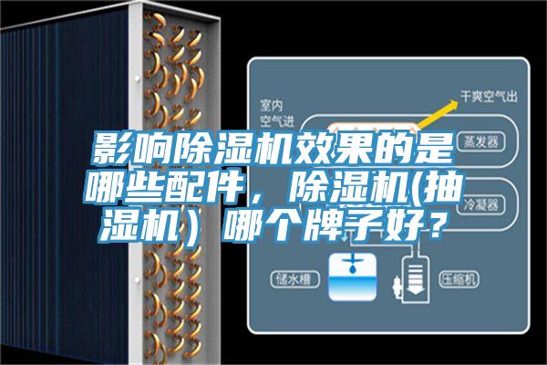 影響91看片网站效果的是哪些配件，91看片网站(抽濕機）哪個牌子好？