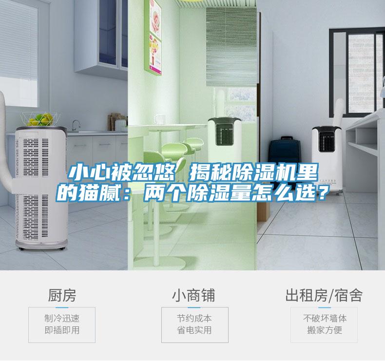 小心被忽悠 揭秘91看片网站裏的貓膩：兩個除濕量怎麽選？