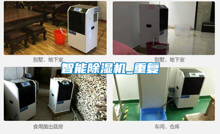 智能91看片网站_重複