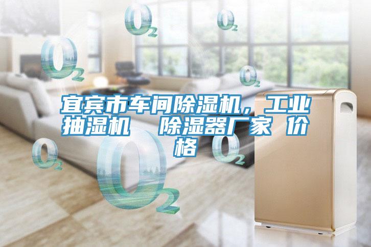 宜賓市車間91看片网站，工業抽濕機  除濕器廠家 價格