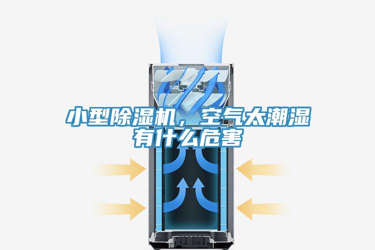 小型91看片网站，空氣太潮濕有什麽危害