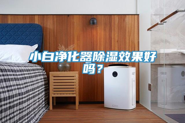 小白淨化器除濕效果好嗎？