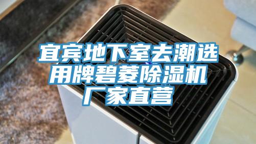 宜賓地下室去潮選用牌碧菱91看片网站廠家直營